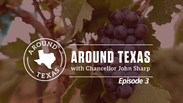 Texas A&M Supports Growing Wine & Whiskey Businesses