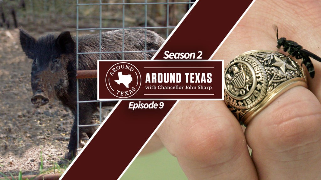 Around Texas With John Sharp season 2 episode 9