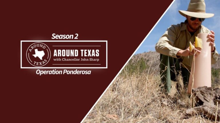 Segment 2/10 – Operation Ponderosa