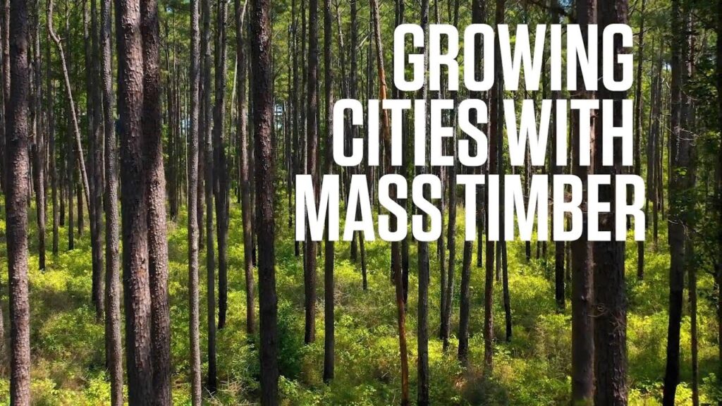 Growing Cities with Mass Timber