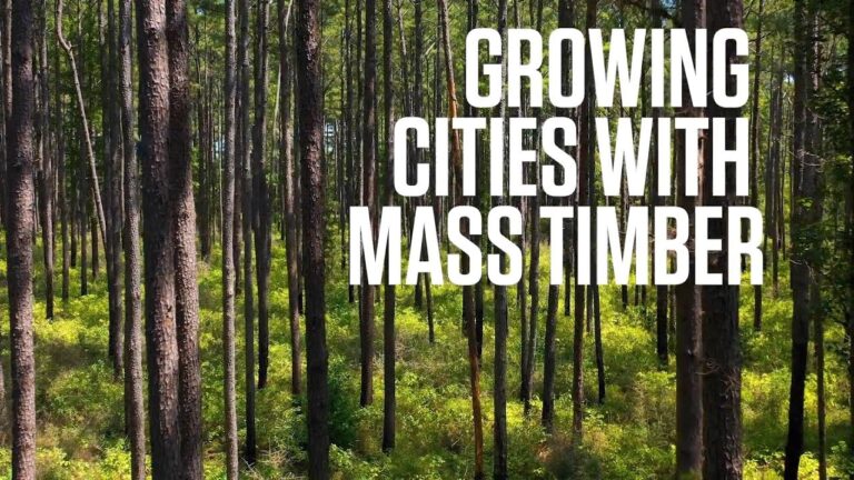 Growing Cities with Mass Timber
