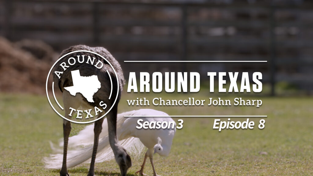 Around Texas - Season 3 Episode 8