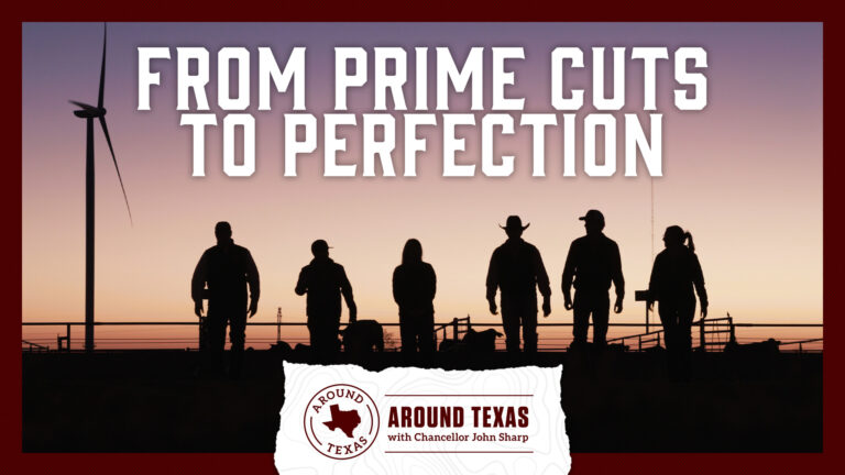 From Prime Cuts to Perfection